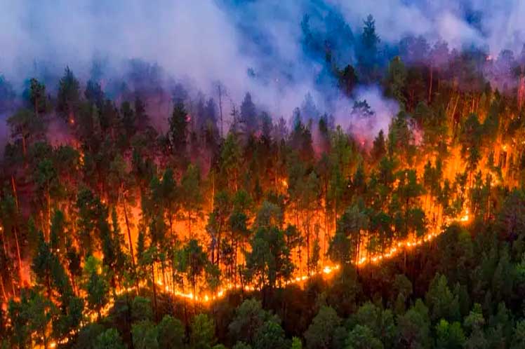 Bomberos rusos controlan incendio forestal en Rostov