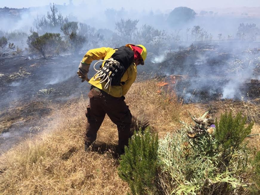 CUESTIONAN LA FALTA DE AUTOCRITICA DE DIRECTOR DE CONAF ANTE INCENDIOS FORESTALES