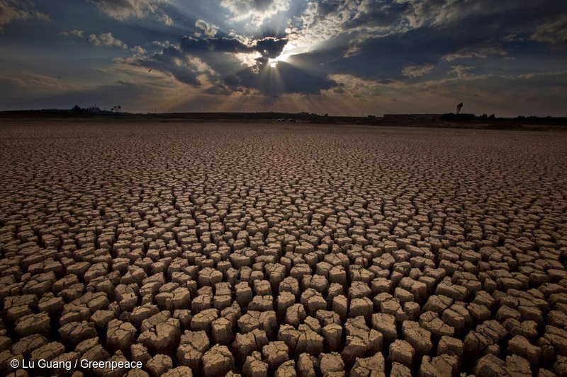 “Demuestra que el problema del agua en Chile no sólo es por la sequía y el cambio climático, sino que tiene que ver directamente con cómo se gestiona el agua”, Greenpeace