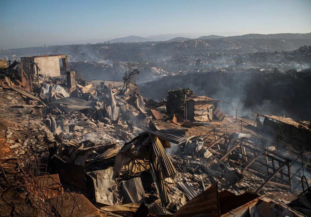 Evalúan daños al ecosistema por incendio en Viña del Mar