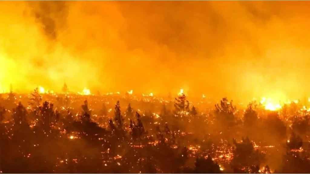 Ibáñez tras aprobación de informe por megaincendio: “Urge una nueva ley de incendios”