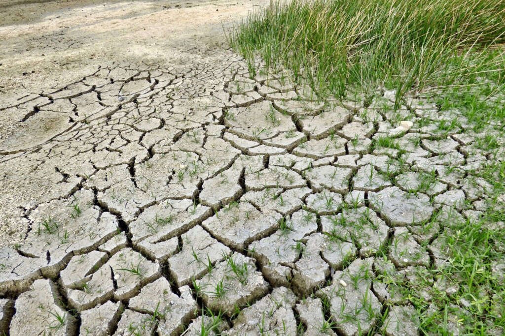 Regresa el Fenómeno de la Niña: ¿En qué consiste y cómo impactará a Chile?