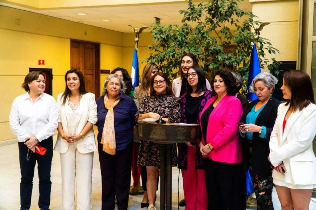 Diputadas oficialistas celebran fallo del TC que prohíbe la discriminación de mujeres en la educación