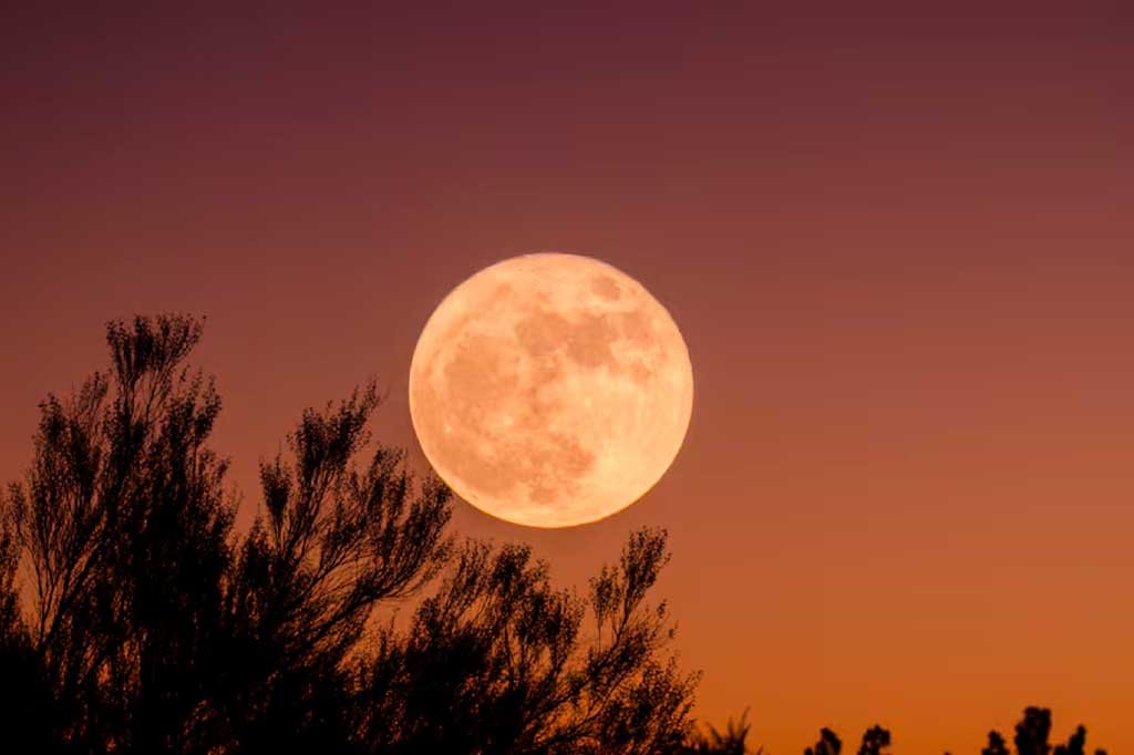 Llega en breve la cuarta y última superluna del 2024